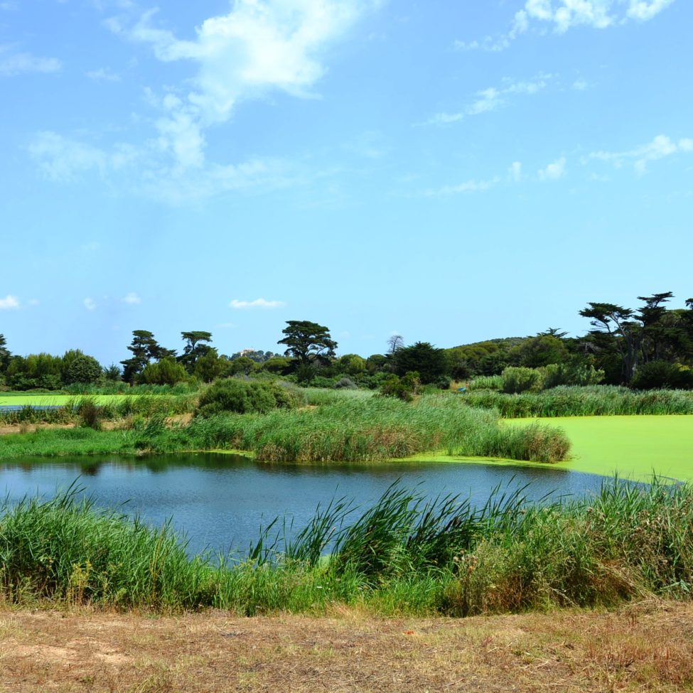 lagune porquerolles