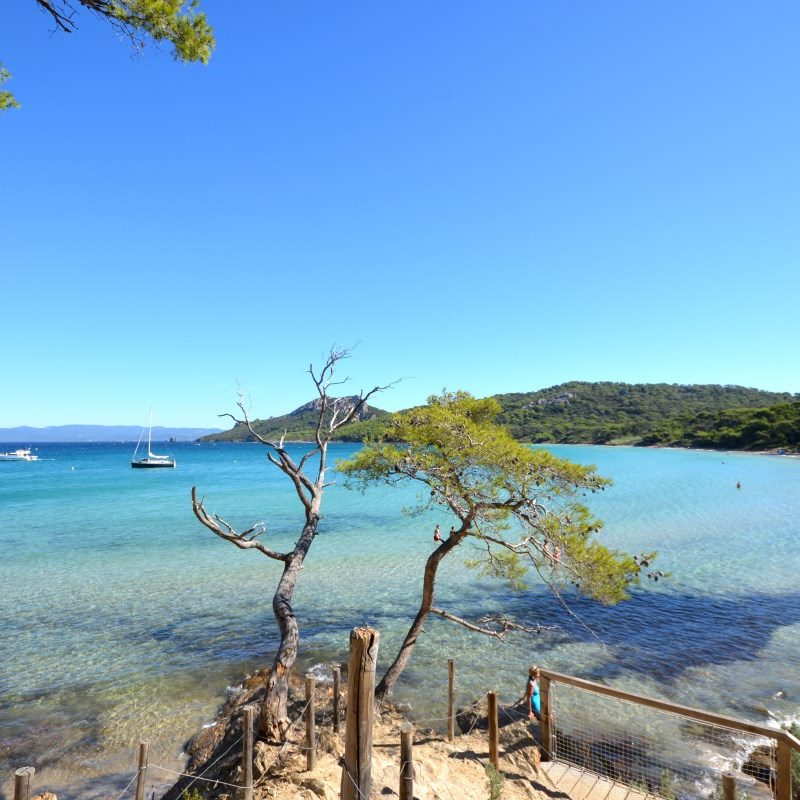 Plage Notre Dame Porquerolles par Le Clos des Galéjades - Location vacances Porquerolles
