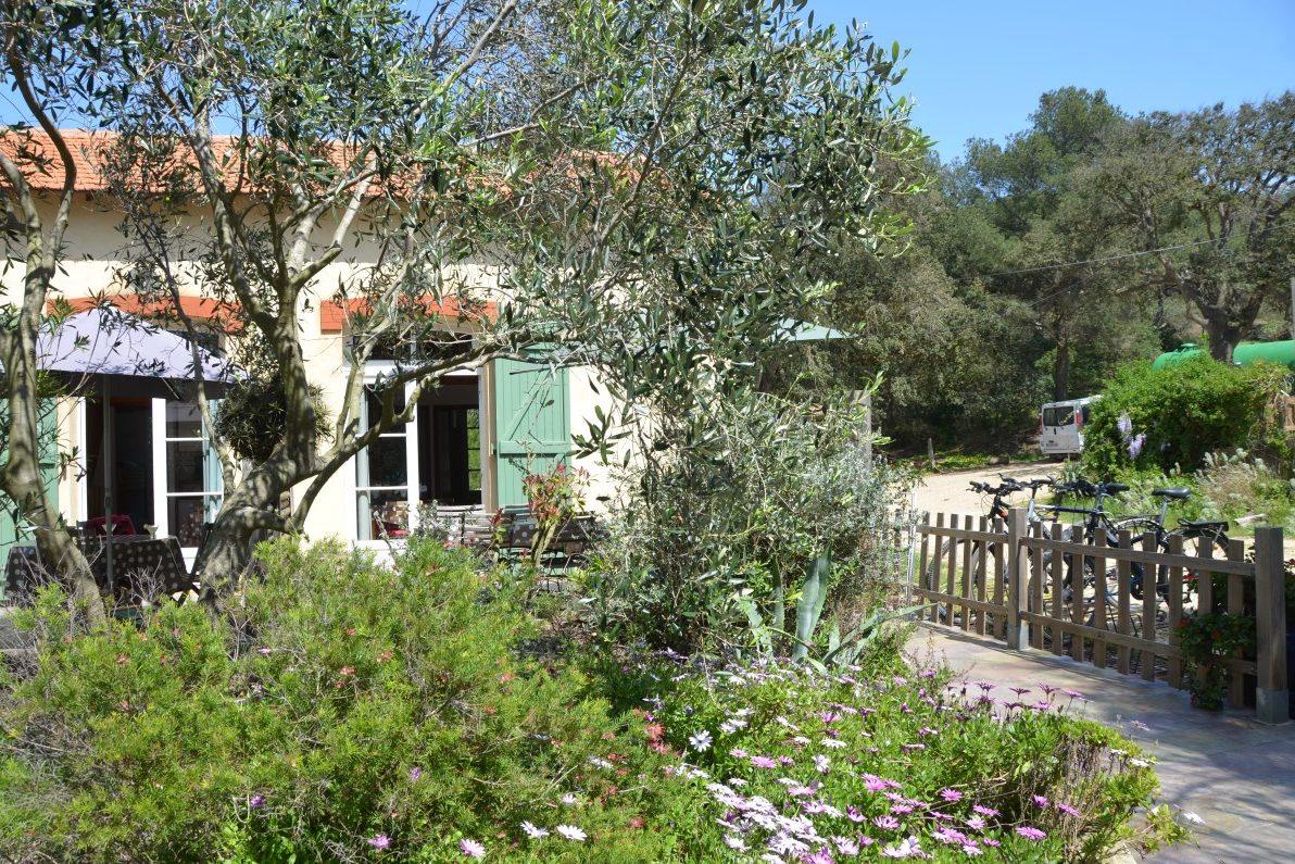 location appartement porquerolles - T2 résidence le Phare - Le Clos des Galéjades